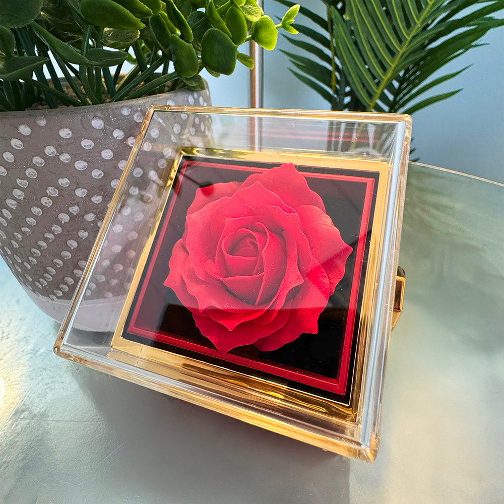 Chapters Squeezed Name - Daughter Birthday Necklace with Rose Box